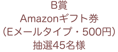 B賞Amazonギフト券500円分抽選54名様